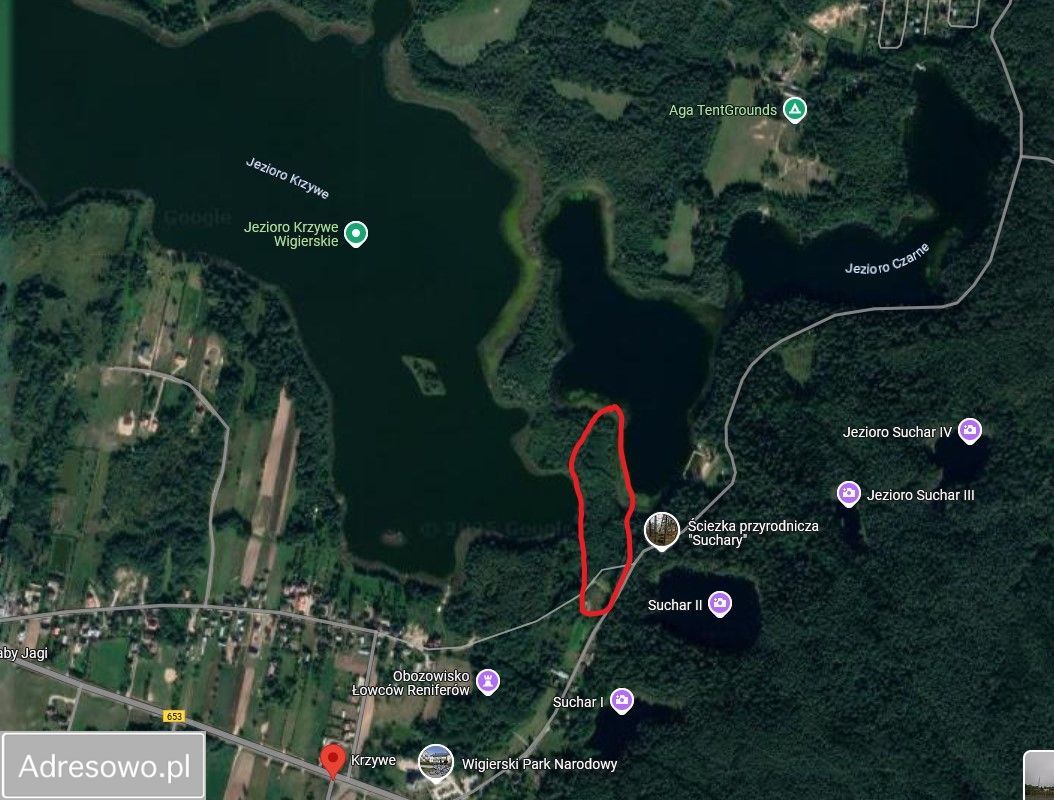 Działka rekreacyjna Krzywe