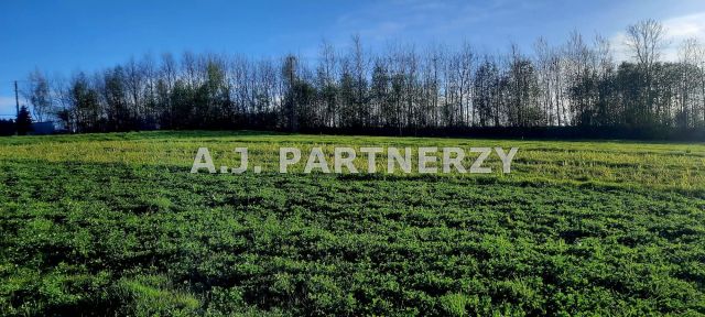 Działka Grabie. Zdjęcie 5