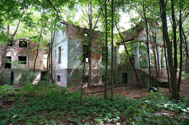 dworek Dąbrowica. Zdjęcie 23