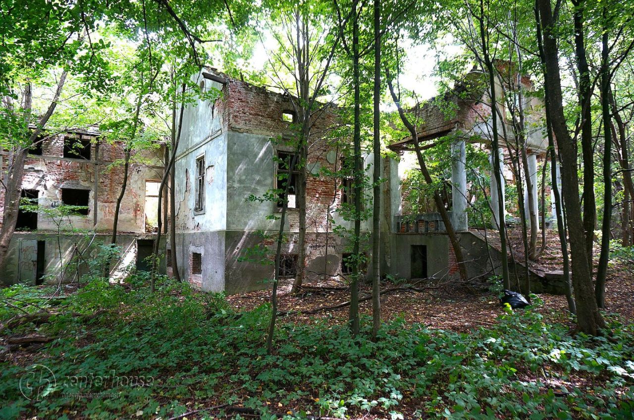 dworek Dąbrowica. Zdjęcie 23