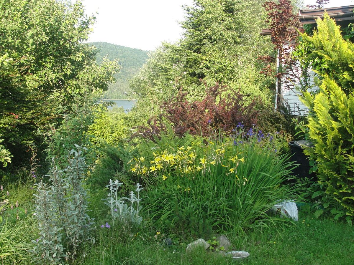 Działka budowlana Klimkówka. Zdjęcie 2