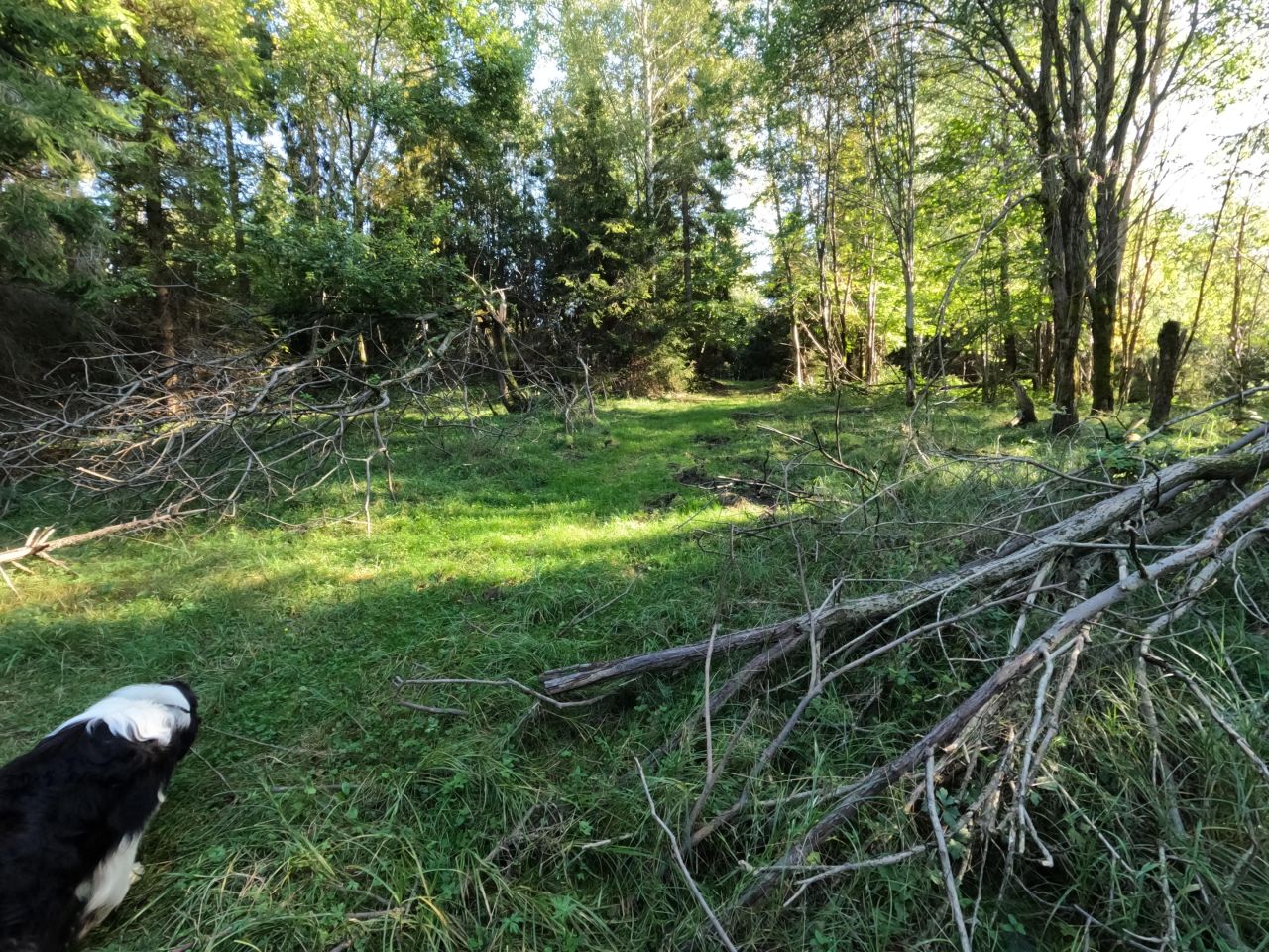Działka rolna Sól Na Bugaju, Brak ulicy. Zdjęcie 14