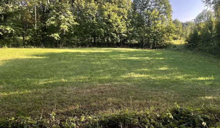 Działka budowlana Klucze, ul. Olkuska
