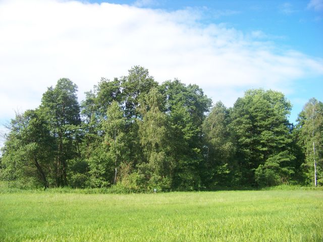 Działka rekreacyjna Gościmin Wielki. Zdjęcie 1