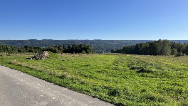 Działka rolno-budowlana Lipnica Dolna. Zdjęcie 1