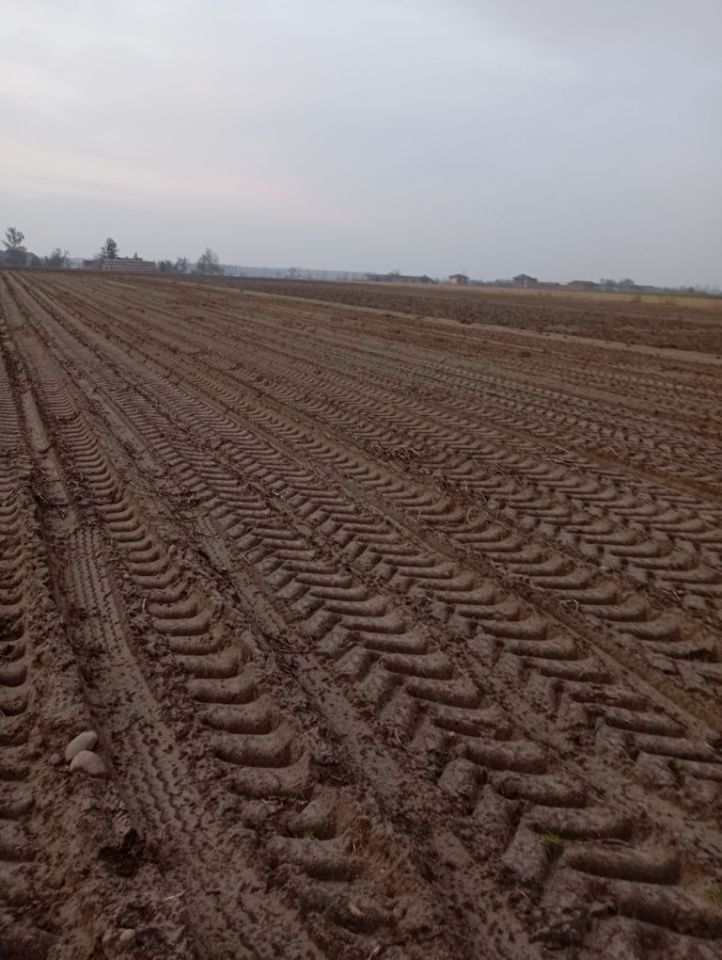 Działka budowlana Małachowice-Kolonia. Zdjęcie 4