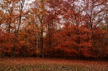 Działka budowlana Libiąż Koniec, ul. Marii Curie-Skłodowskiej. Zdjęcie 2