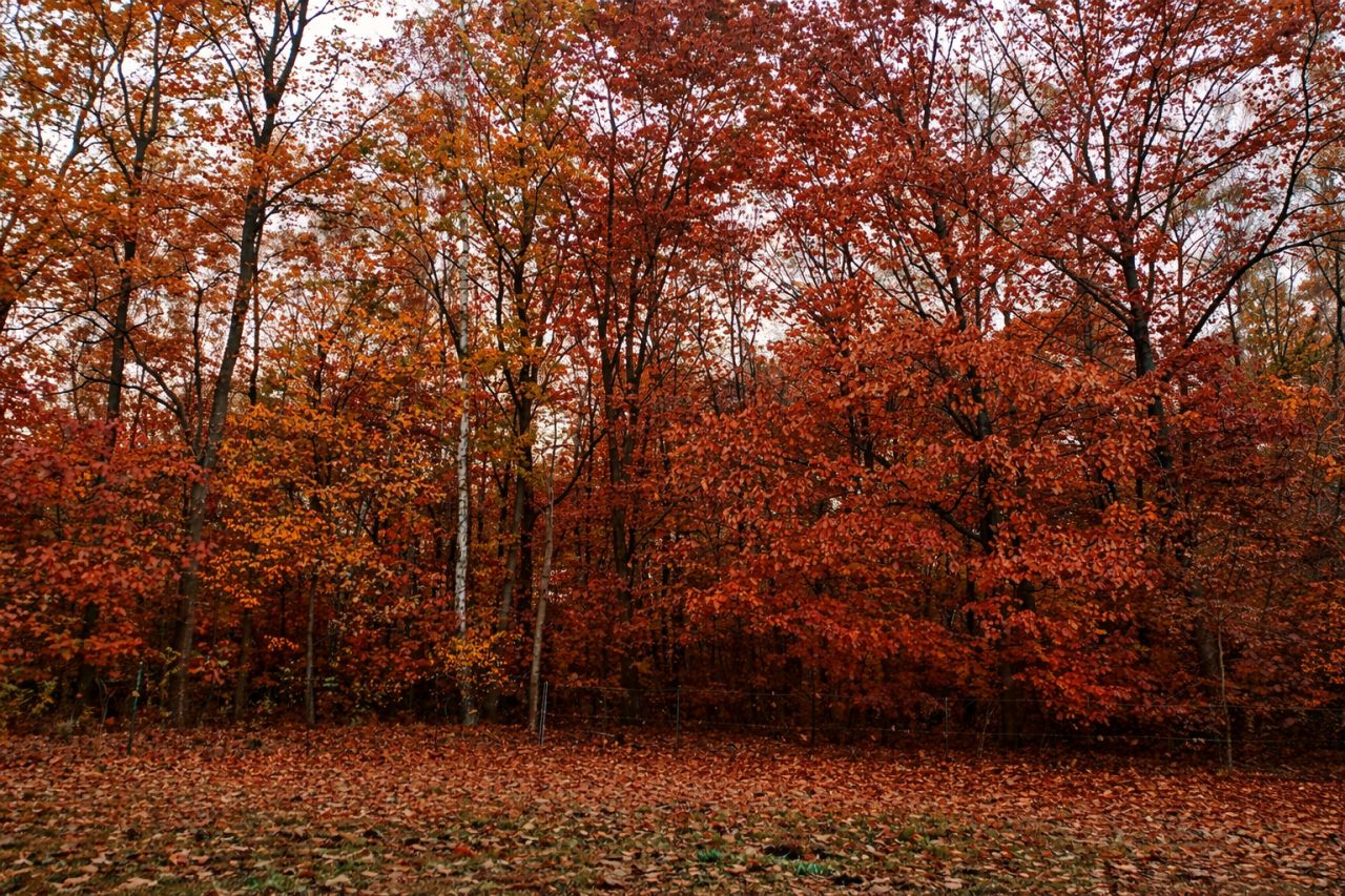 Działka budowlana Libiąż Koniec, ul. Marii Curie-Skłodowskiej. Zdjęcie 3