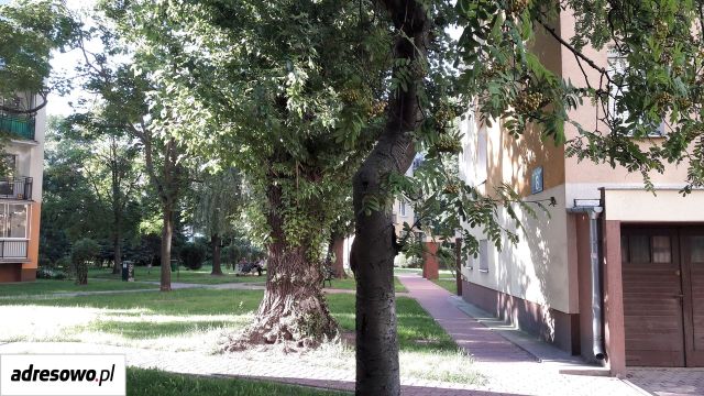 Mieszkanie 2-pokojowe Warszawa Ursus, ul. Tomcia Palucha. Zdjęcie 18