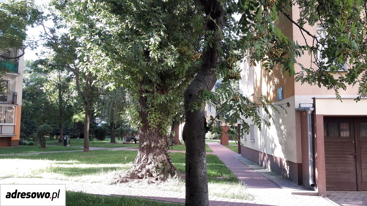Mieszkanie 2-pokojowe Warszawa Ursus, ul. Tomcia Palucha. Zdjęcie 18