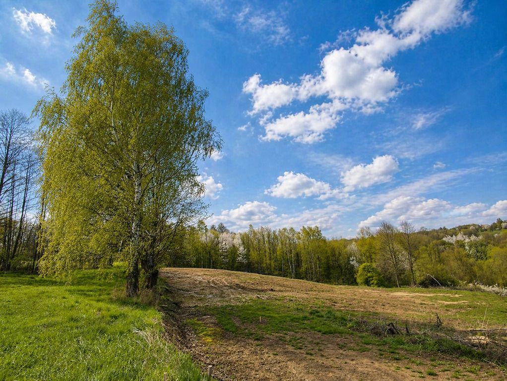 Działka budowlana Kielnarowa. Zdjęcie 1