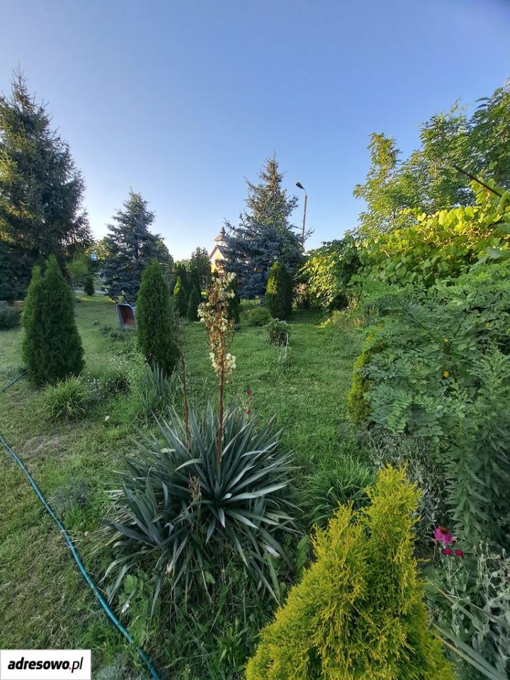 dom wolnostojący, 5 pokoi Przemków, ul. Głogowska. Zdjęcie 11