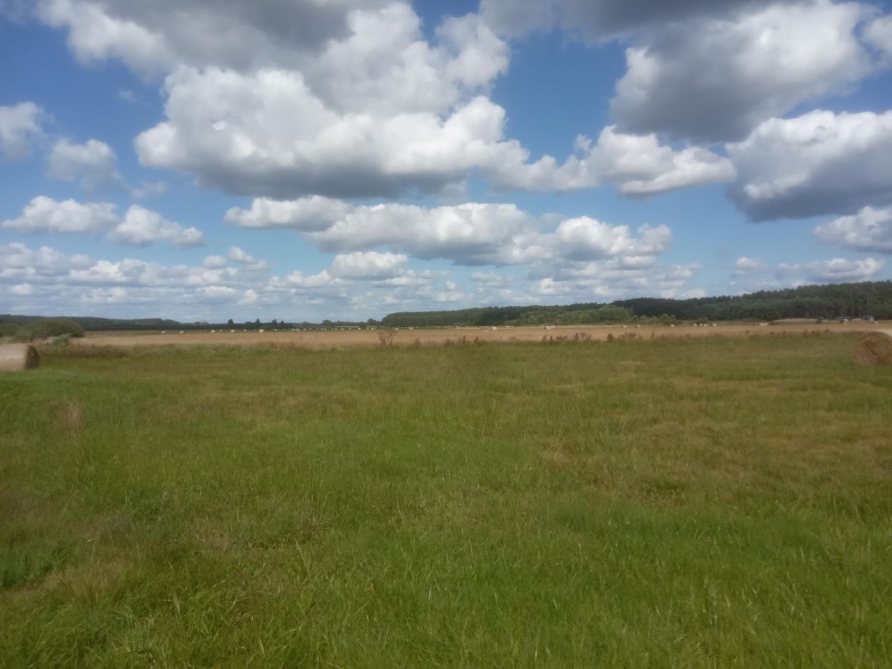 Działka rolna Kałek. Zdjęcie 4