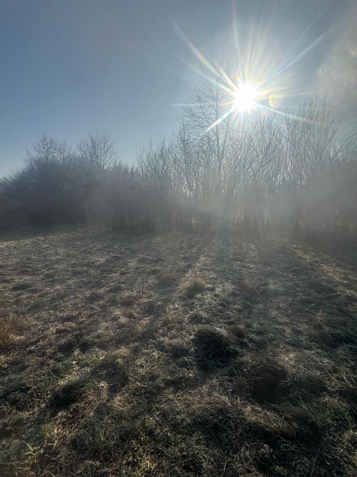 Działka rolno-budowlana Kolosy. Zdjęcie 6