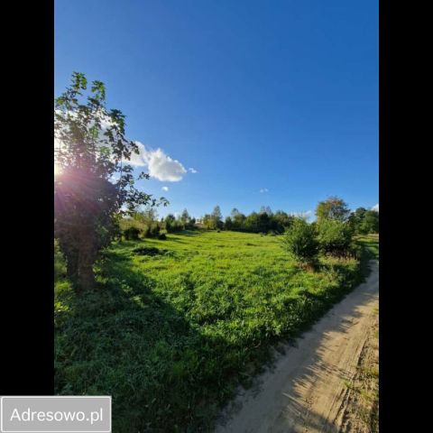 Działka rekreacyjna Kojtryny. Zdjęcie 1