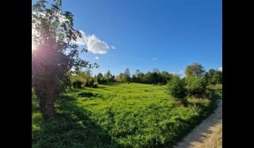 Działka rekreacyjna Kojtryny