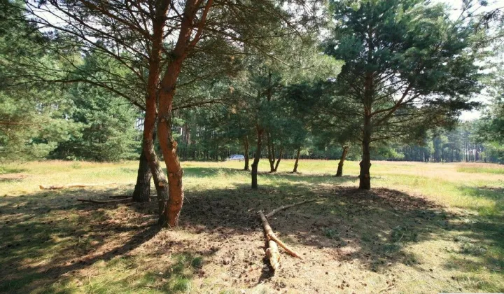 Działka rolna Szczecin Wielgowo, ul. Żywiczna