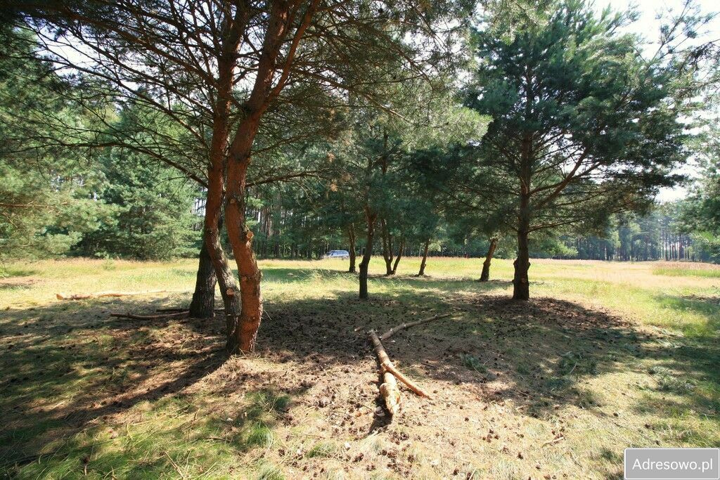 Działka rolna Szczecin Wielgowo, ul. Żywiczna. Zdjęcie 1