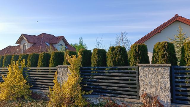 dom wolnostojący, 5 pokoi Michałów, Michałów. Zdjęcie 18