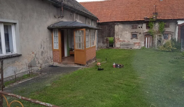 gospodarstwo Gogołowice