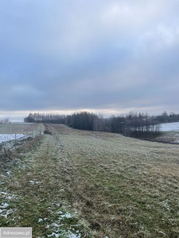 Działka rolno-budowlana Łajsce. Zdjęcie 1