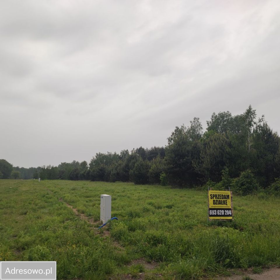 Działka budowlana Budy-Grzybek, ul. Potockiego. Zdjęcie 6