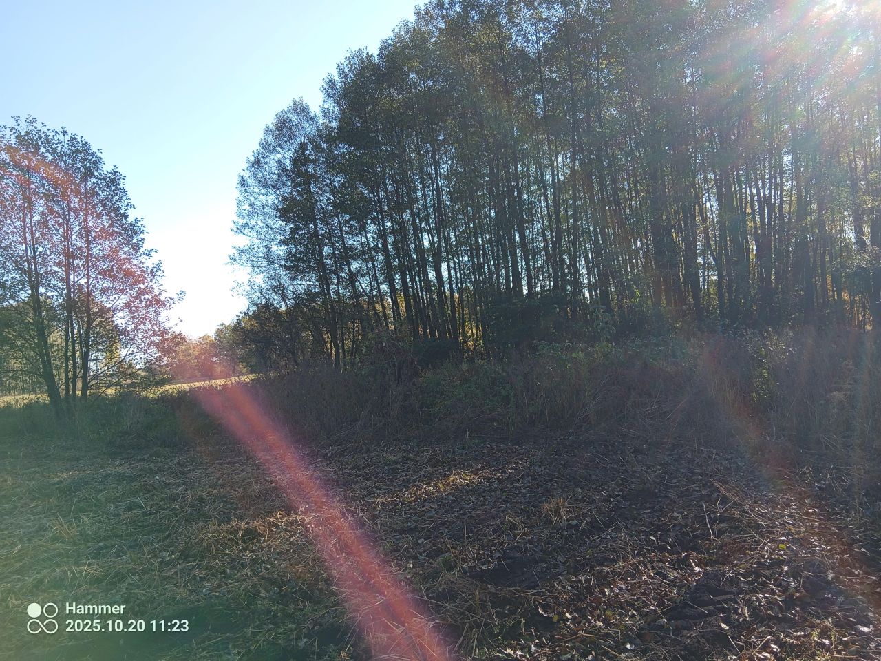 Działka budowlana Wilkowa Wieś, ul. Brzezinki. Zdjęcie 3