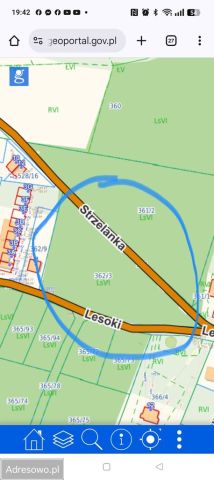 Działka leśna Bojano, ul. Lesoki. Zdjęcie 1