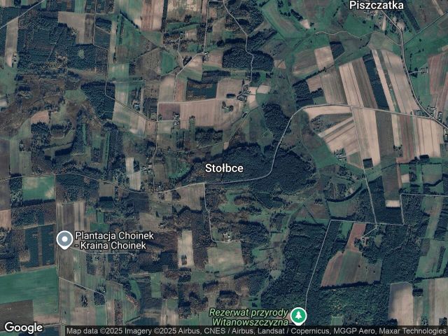 Działka leśna Stołbce. Zdjęcie 1