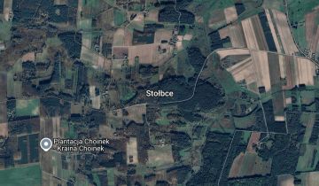 Działka leśna Stołbce