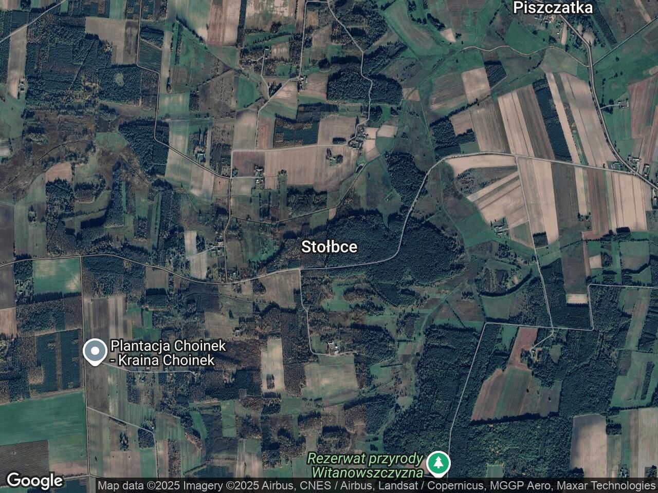 Działka leśna Stołbce