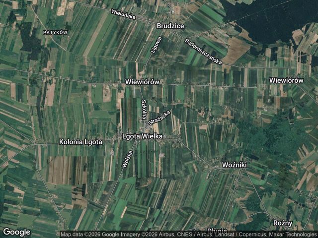 Działka rolno-budowlana Lgota Wielka, ul. Strażacka. Zdjęcie 1