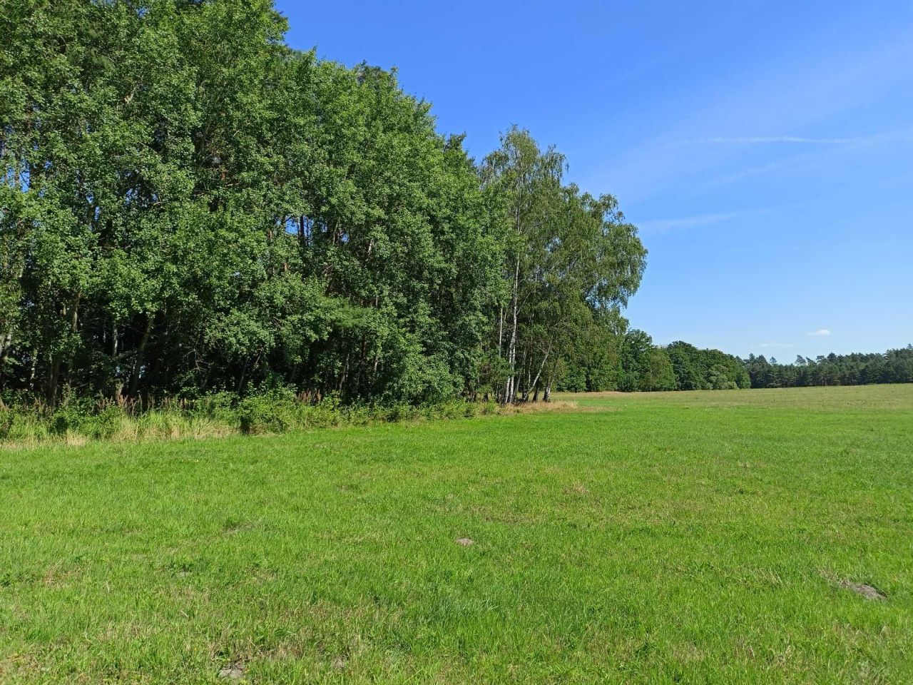 Działka budowlana Mechowo. Zdjęcie 1