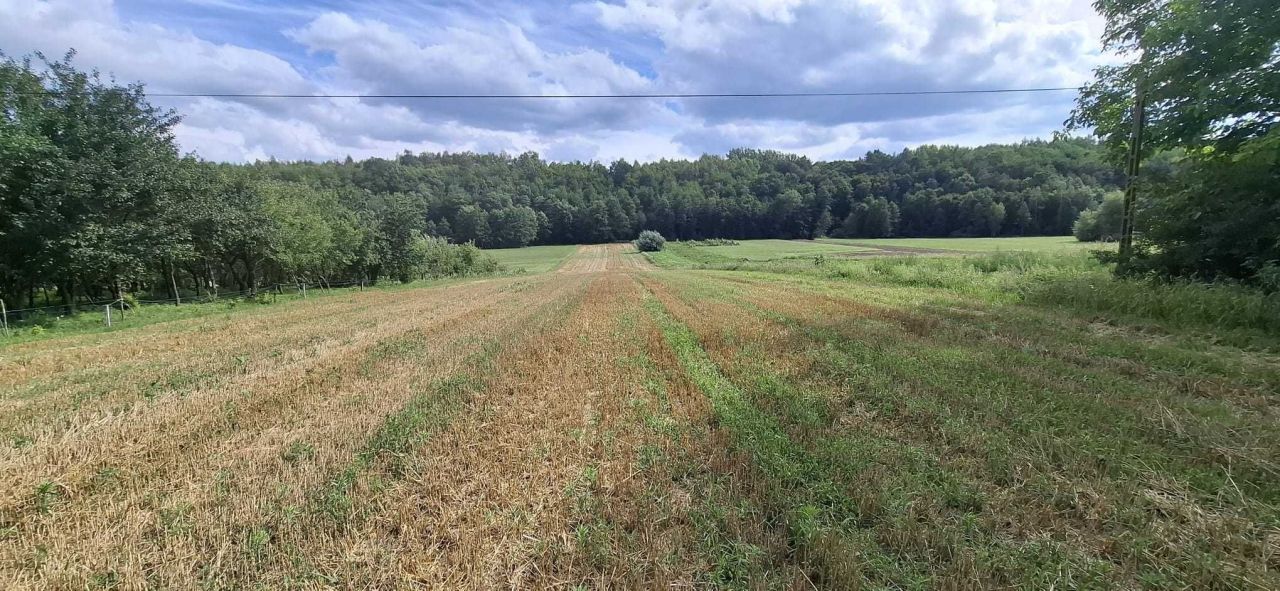 Działka rolno-budowlana Ułanowice. Zdjęcie 7
