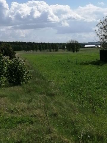 Działka rolno-budowlana Osiny-Mokra Niwa. Zdjęcie 1
