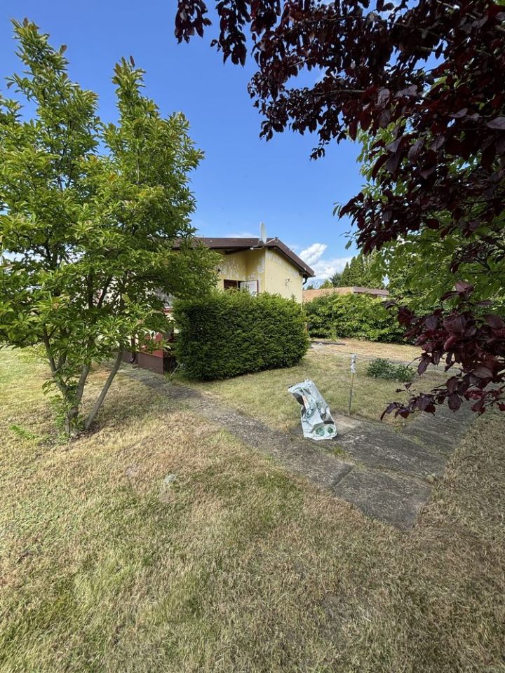 Działka rod Koninko. Zdjęcie 8