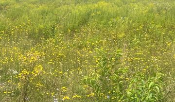 Działka rolno-budowlana Józefów