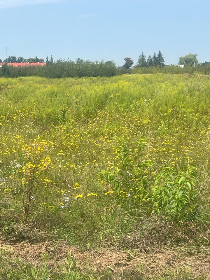 Działka rolno-budowlana Józefów. Zdjęcie 2