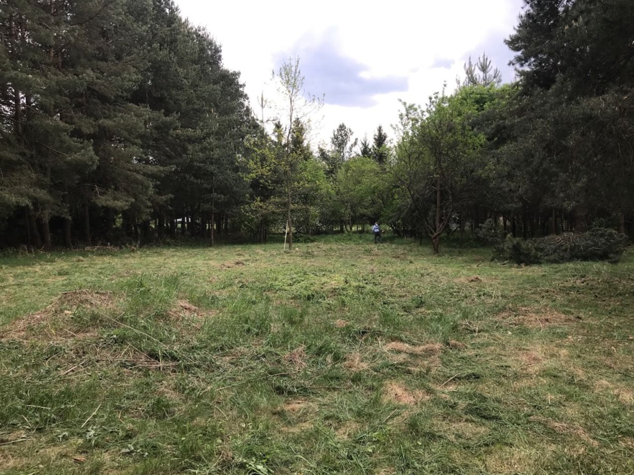 Działka budowlana Ruda, ul. Ogrodowa