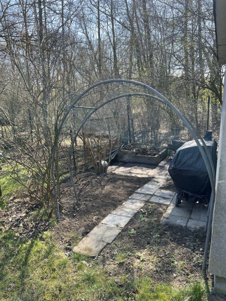 Działka rod Gliwice Ostropa, ul. Ku Dołom. Zdjęcie 4