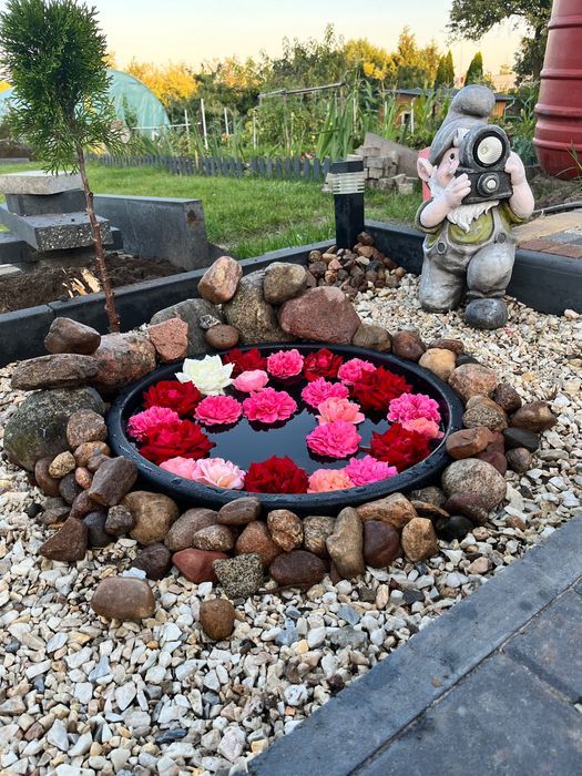 Działka rod Gniezno, ul. Wrzesińska