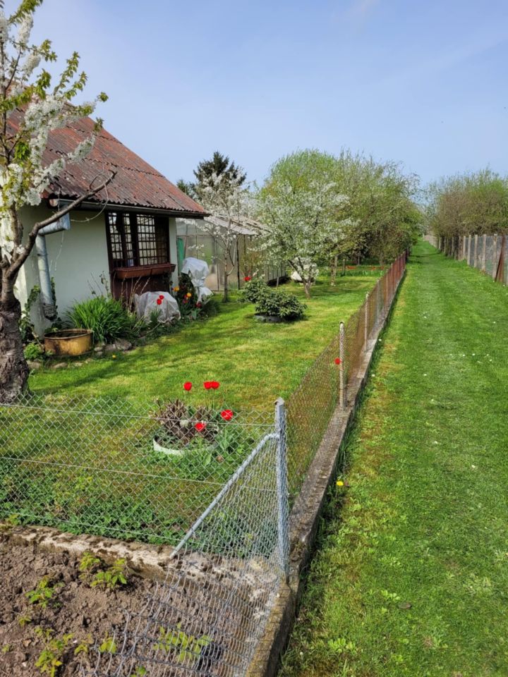 Działka rod Koszalin Jamno, ul. Holenderska