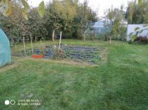 Działka rod Mława. Zdjęcie 3