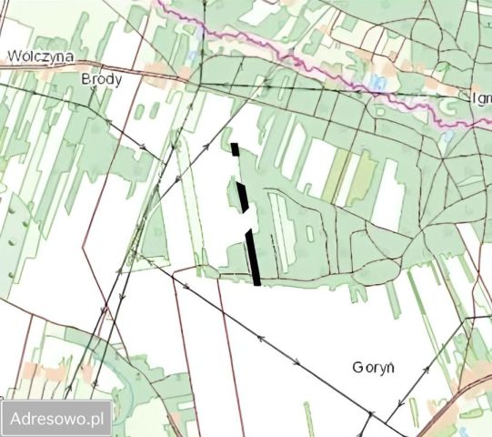 Działka leśna Goryń. Zdjęcie 1