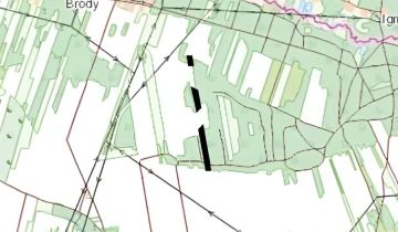 Działka leśna Goryń