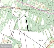 Działka leśna Goryń