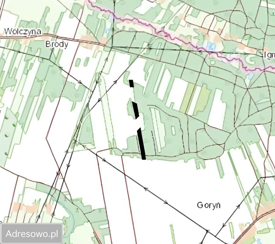 Działka leśna Goryń