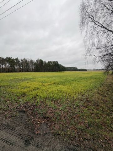 Działka budowlana Międzybłocie. Zdjęcie 1