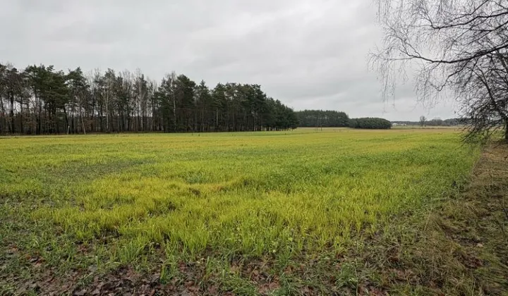 Działka budowlana Międzybłocie