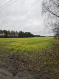 Działka budowlana Międzybłocie